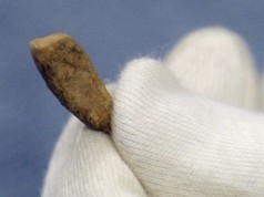 16-годишно девојче откри човечки заб стар 560.000 години