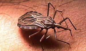 241887_img-on-skin_f