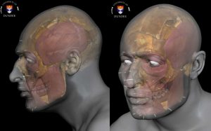 content-1487347300-piccccface