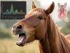 Тајната на ржењето на коњите: Бифонија