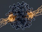 Крио-ЕМ откри дека ензимот на E. coli обработува две тРНК истовремено