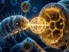 „Скокачки ген“ фатен при пренос меѓу различни видови