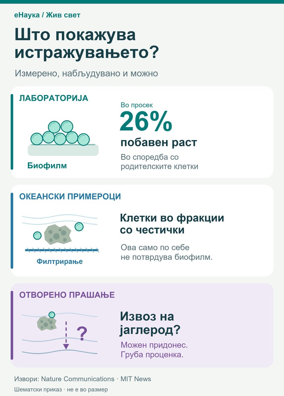 Три сцени: биофилм со просечно 26% побавен раст во лабораторија; клетки во филтрирани океански фракции; можен извоз на јаглерод означен со испрекината стрелка и прашалник.
