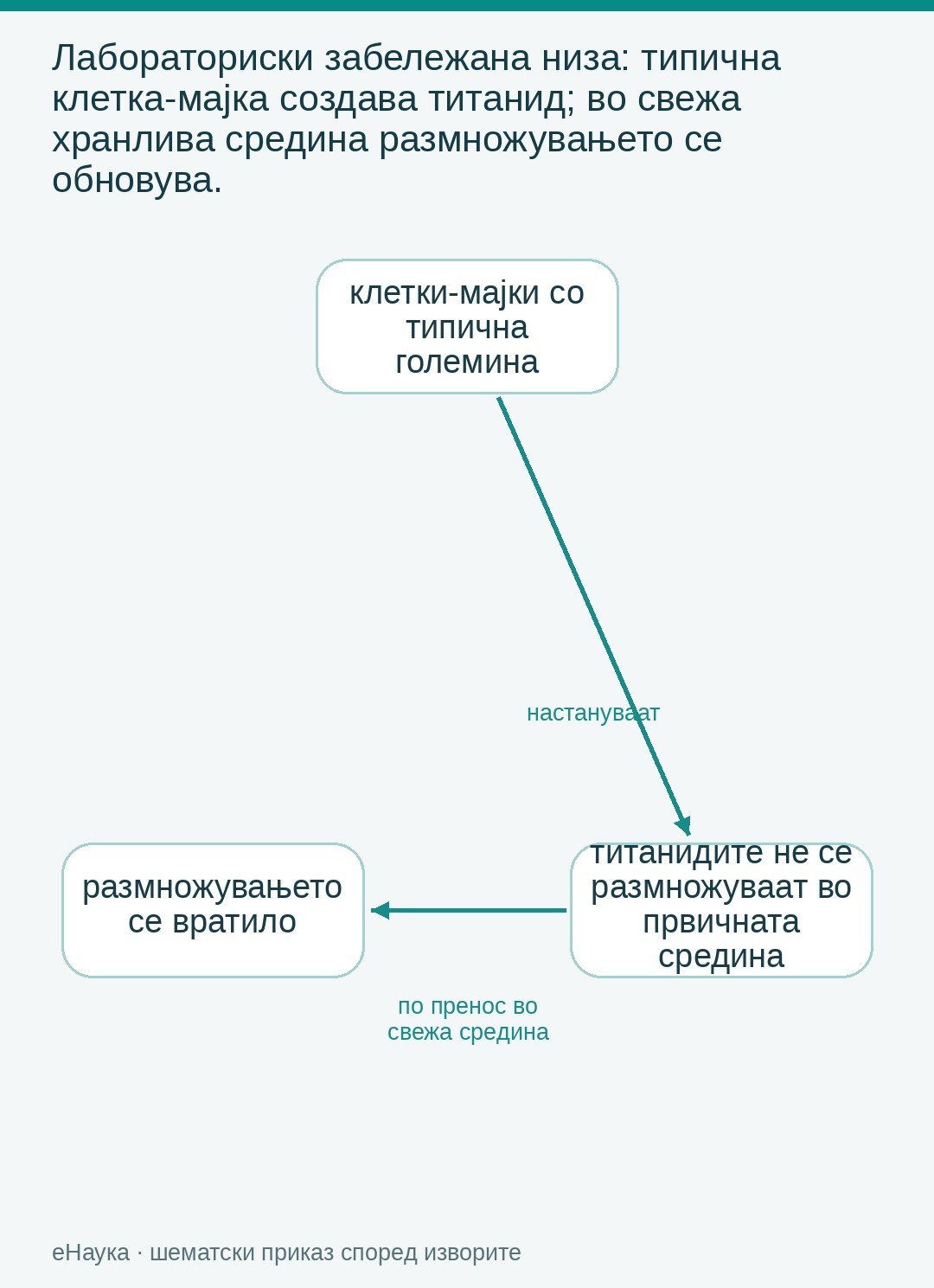 Дијаграм со стрели од типична клетка-мајка до титанид и потоа до набабрена клетка што создава потомци во свежа средина.