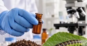 Гасеница на зелен лист покрај лабораториско шишенце и примерок од почва.
